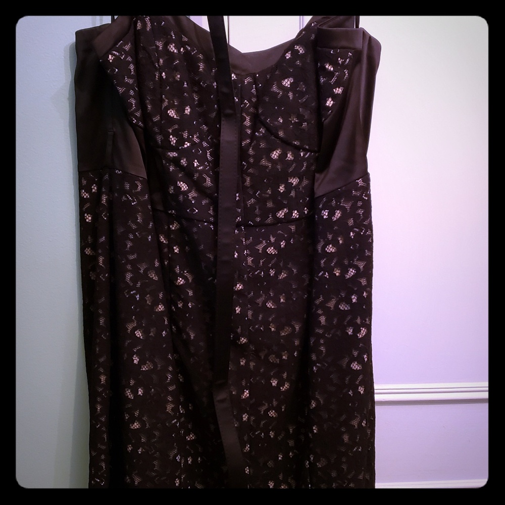 Beautiful Sexy Black Lace Dress by Torrid Size 24